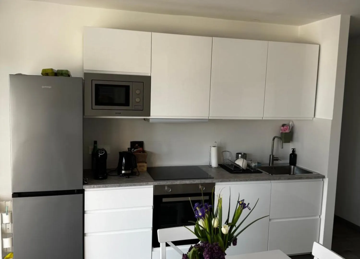 Apartment Apartman Rea Rijeka Croatia